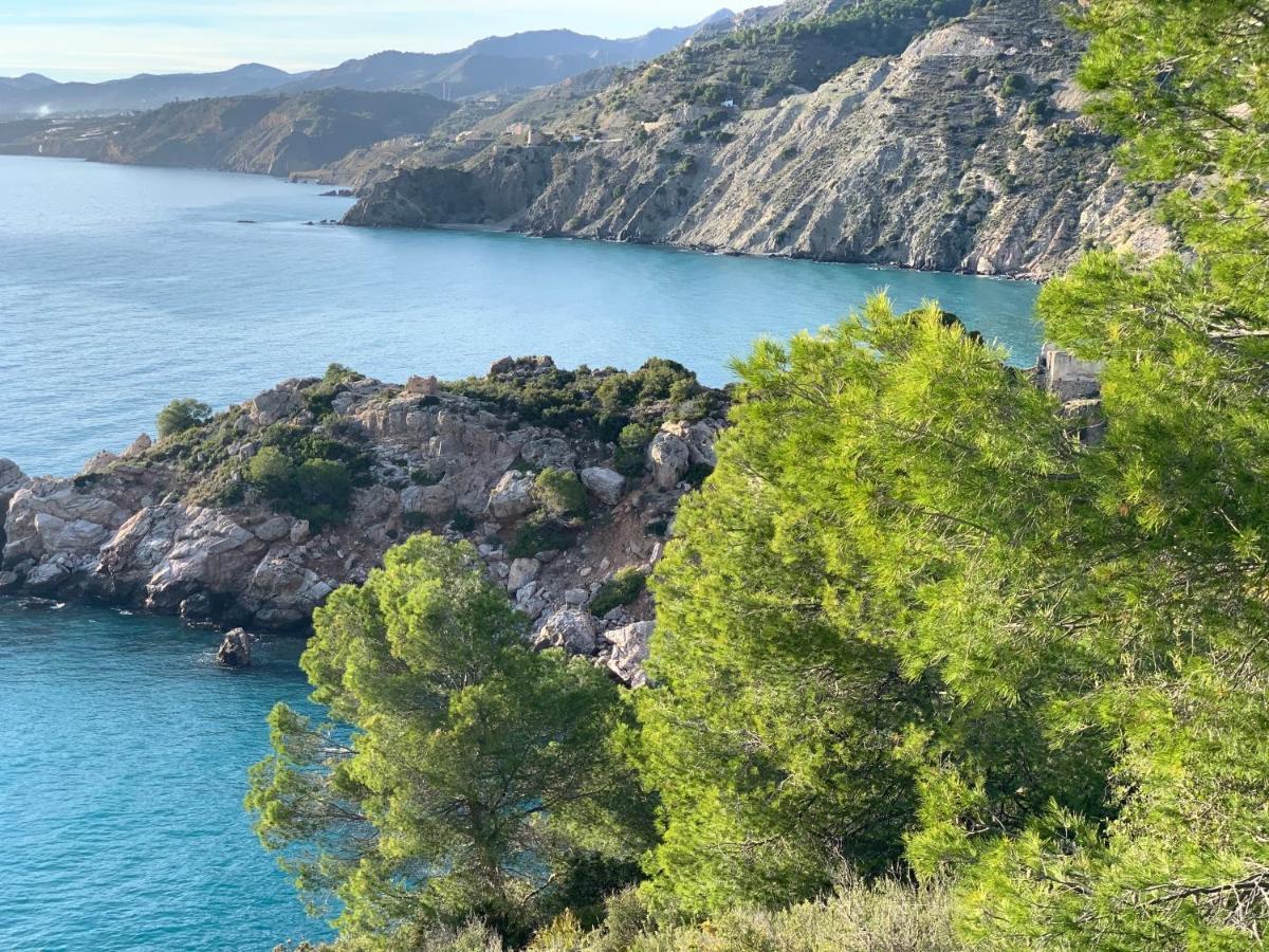 Villa Andrea Nerja Εξωτερικό φωτογραφία